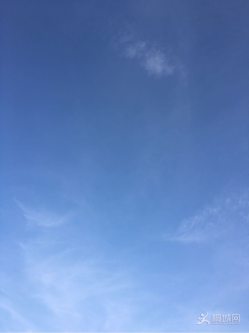 sBisjh8b23Sy.jpg
