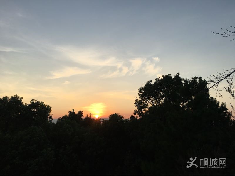 77L8f9c88KlF.jpg