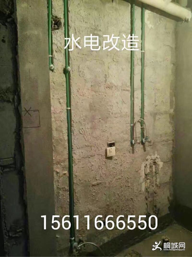 wT9Vt9WLW23T.jpg