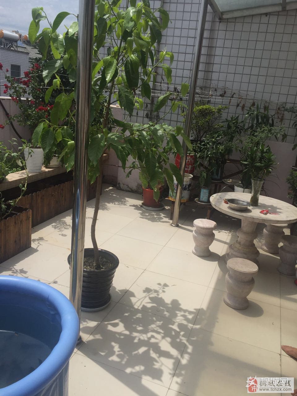 2017081722051215814438_960_1280 (1).jpg