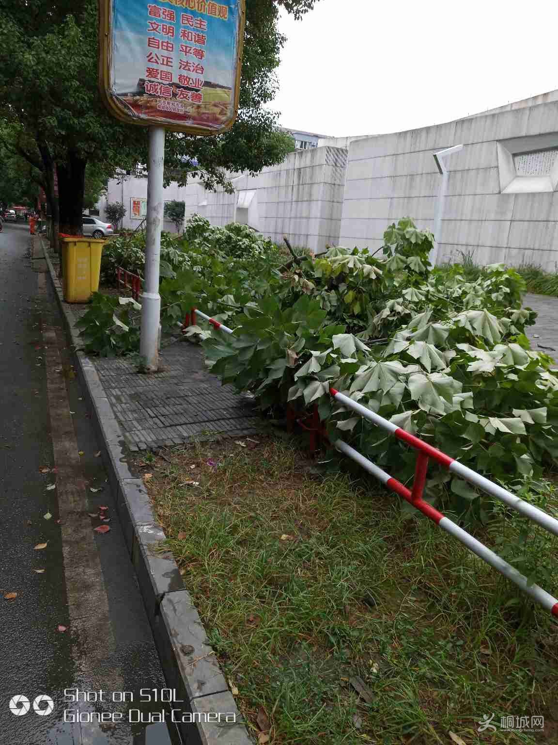 650cRZ886UC9.jpg