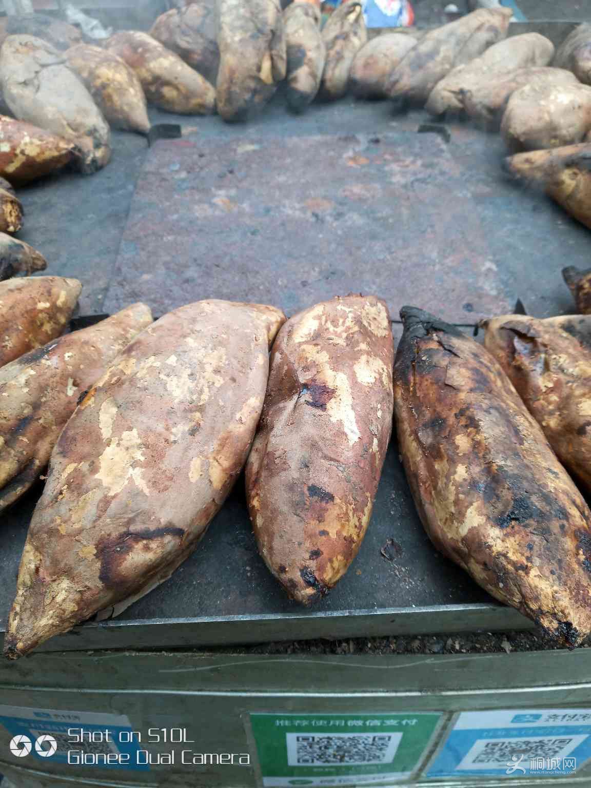 e25qIdtI5Ett.jpg