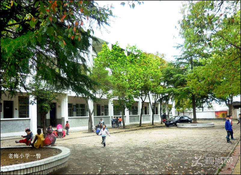 DSCN0008a_.jpg