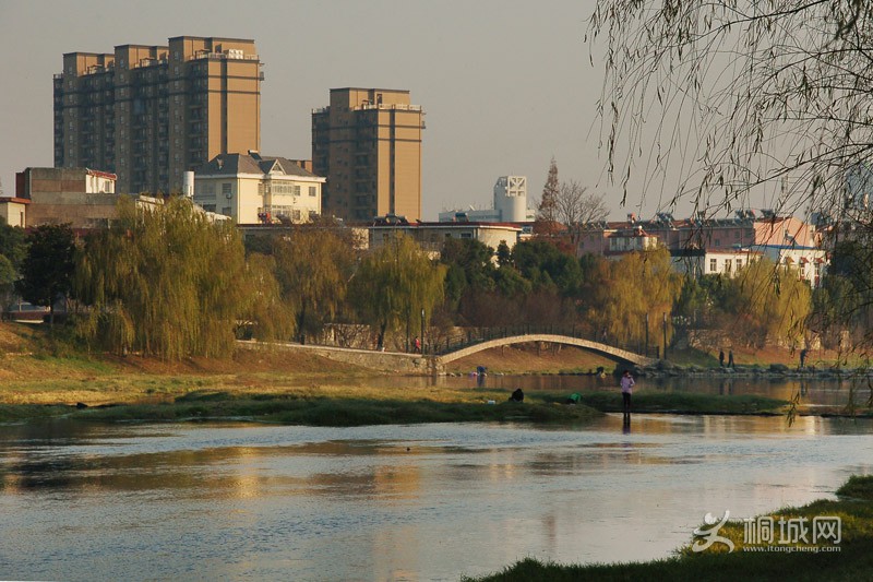 29 DSC_6056.JPG