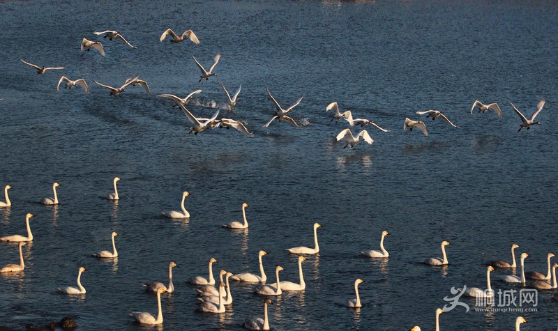 73 IMG_1800-.JPG
