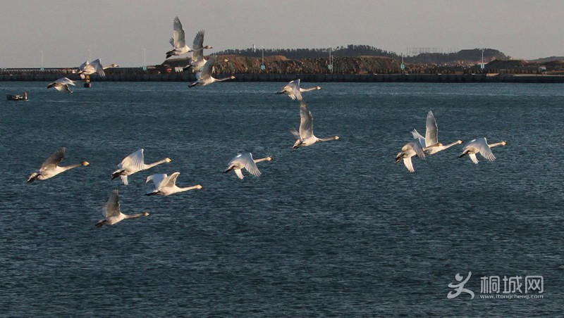 78 IMG_1808-.JPG
