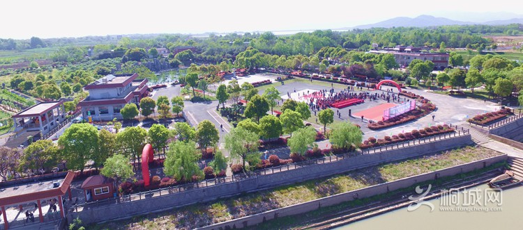 7739.jpg