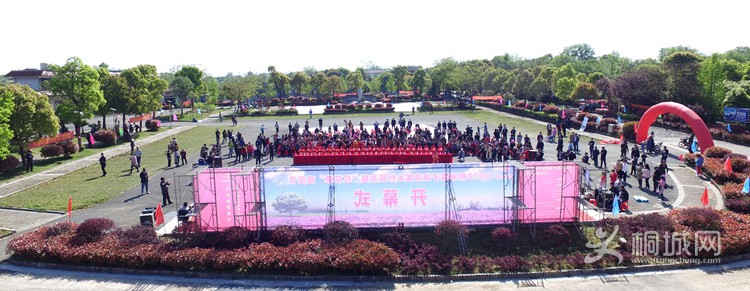 7742.jpg