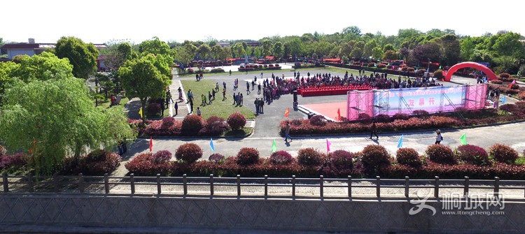 7746.jpg