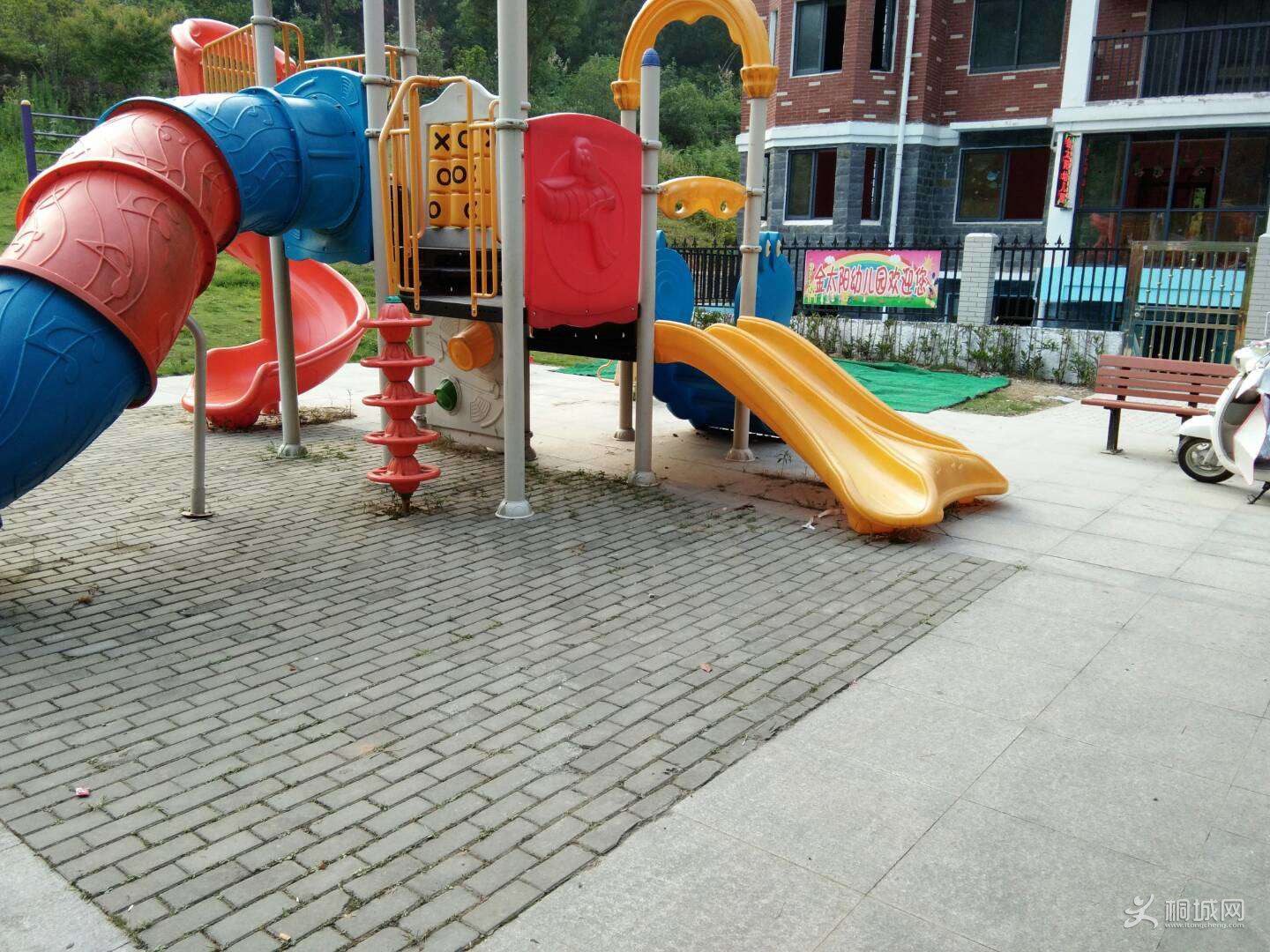 51.jpg