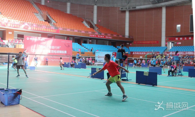 3162812_515137.jpg