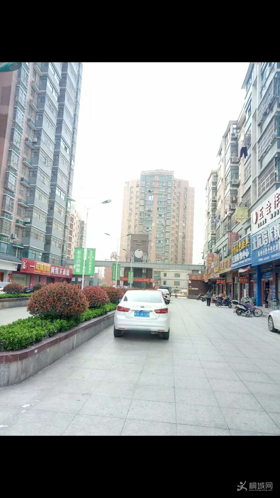 webwxgetmsgimg (3).jpg