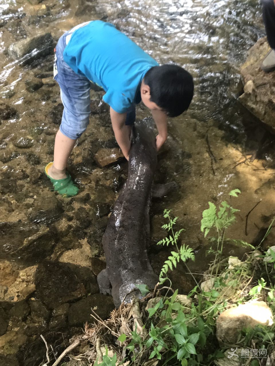 QQͼƬ20180611185235.jpg