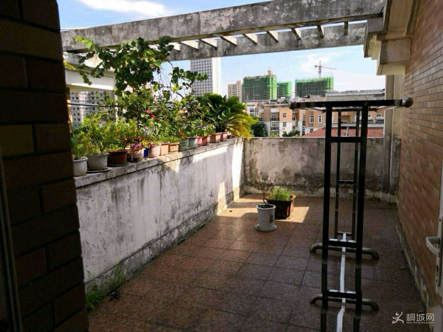 webwxgetmsgimg (18).jpg