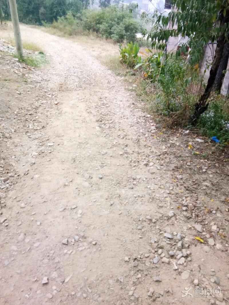1539077657051.jpeg