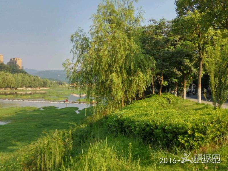IMG_20160730_073303_HDR.jpeg