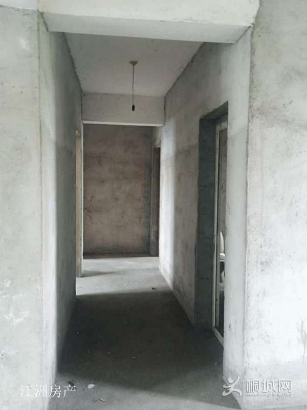 mmexport1547015903221.jpg