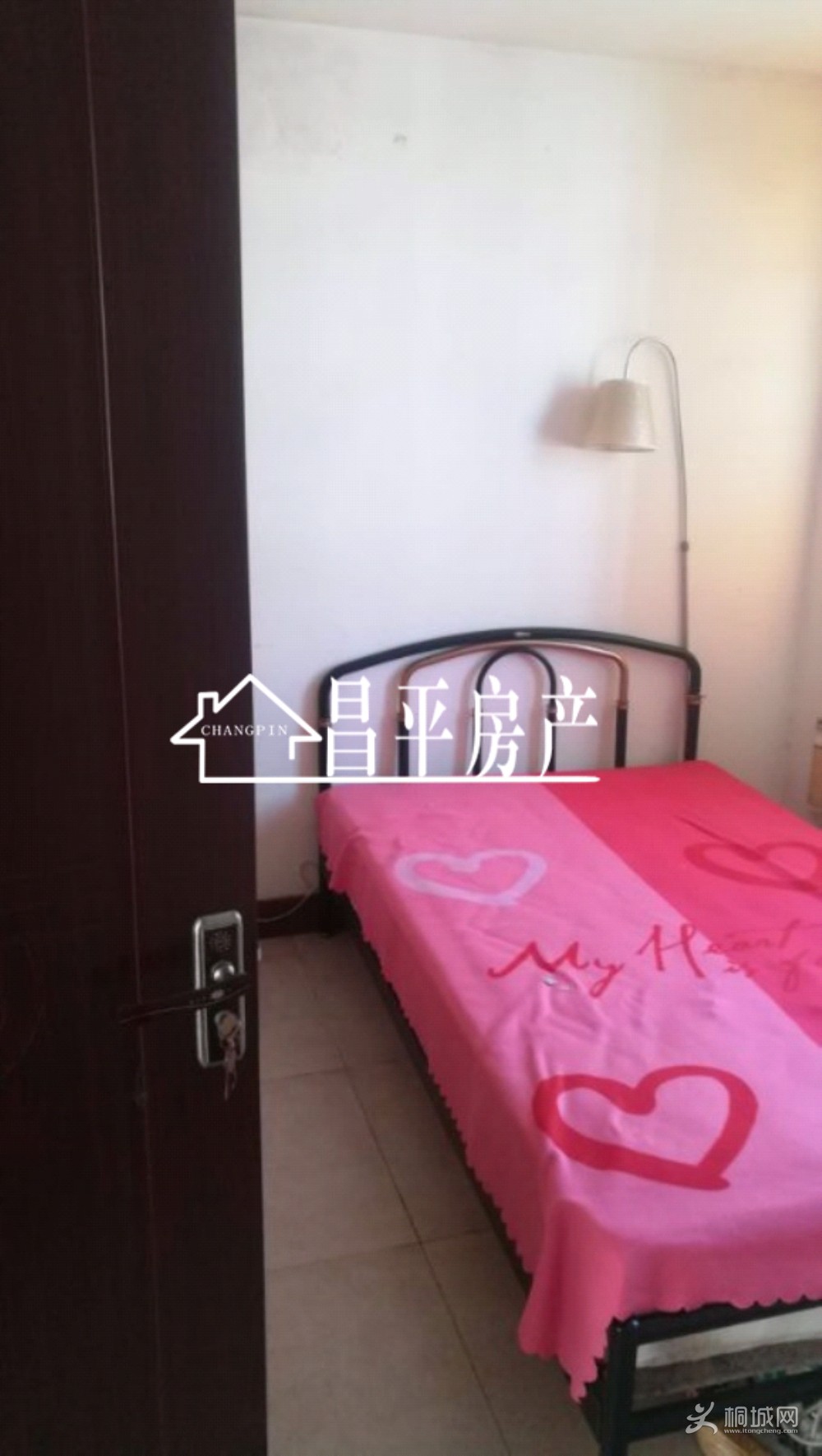 ZyjCH1xBmVuED5XRAAAAAL2RMH4462.jpg