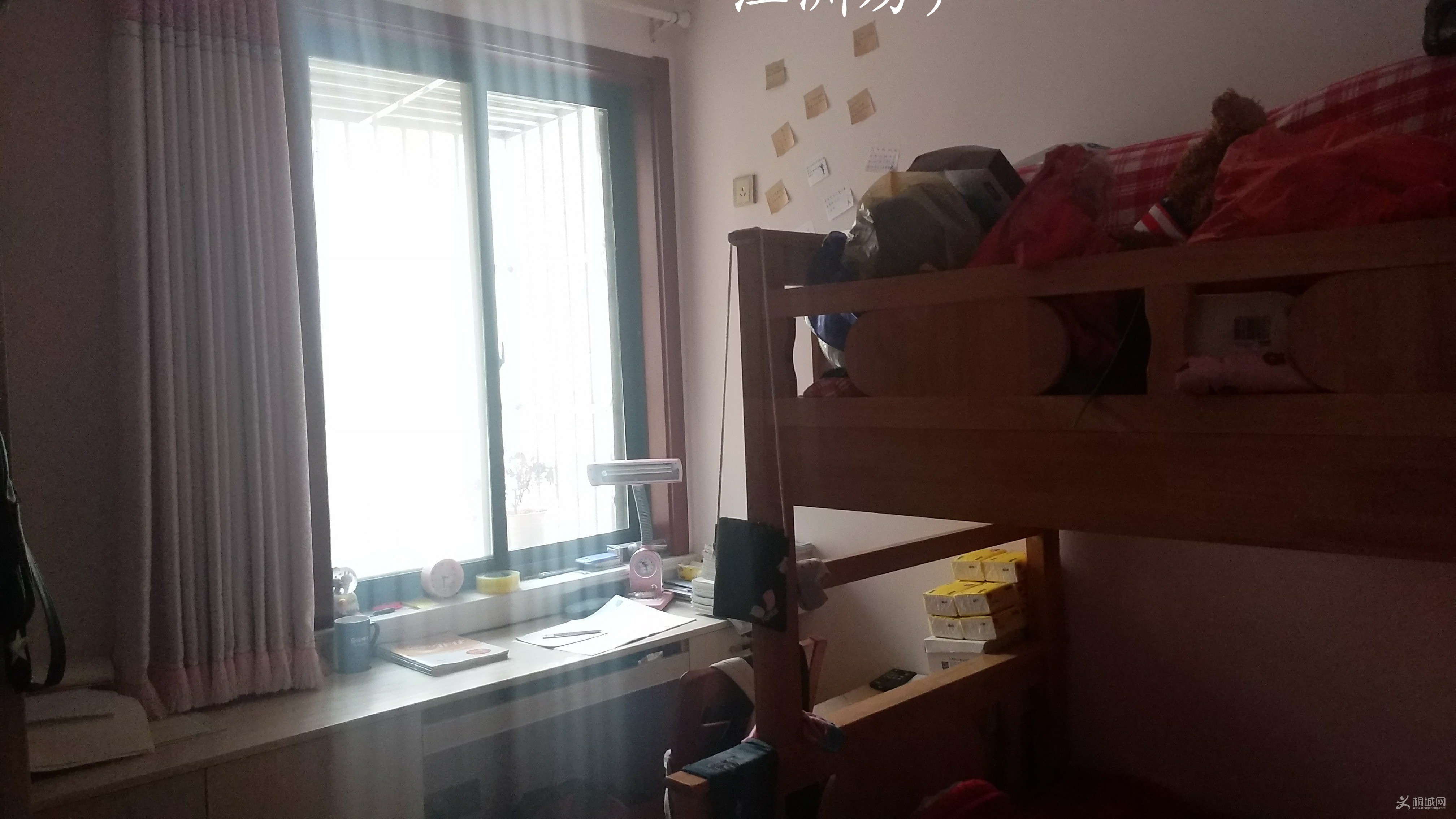 IMG_20190125_155332.JPG