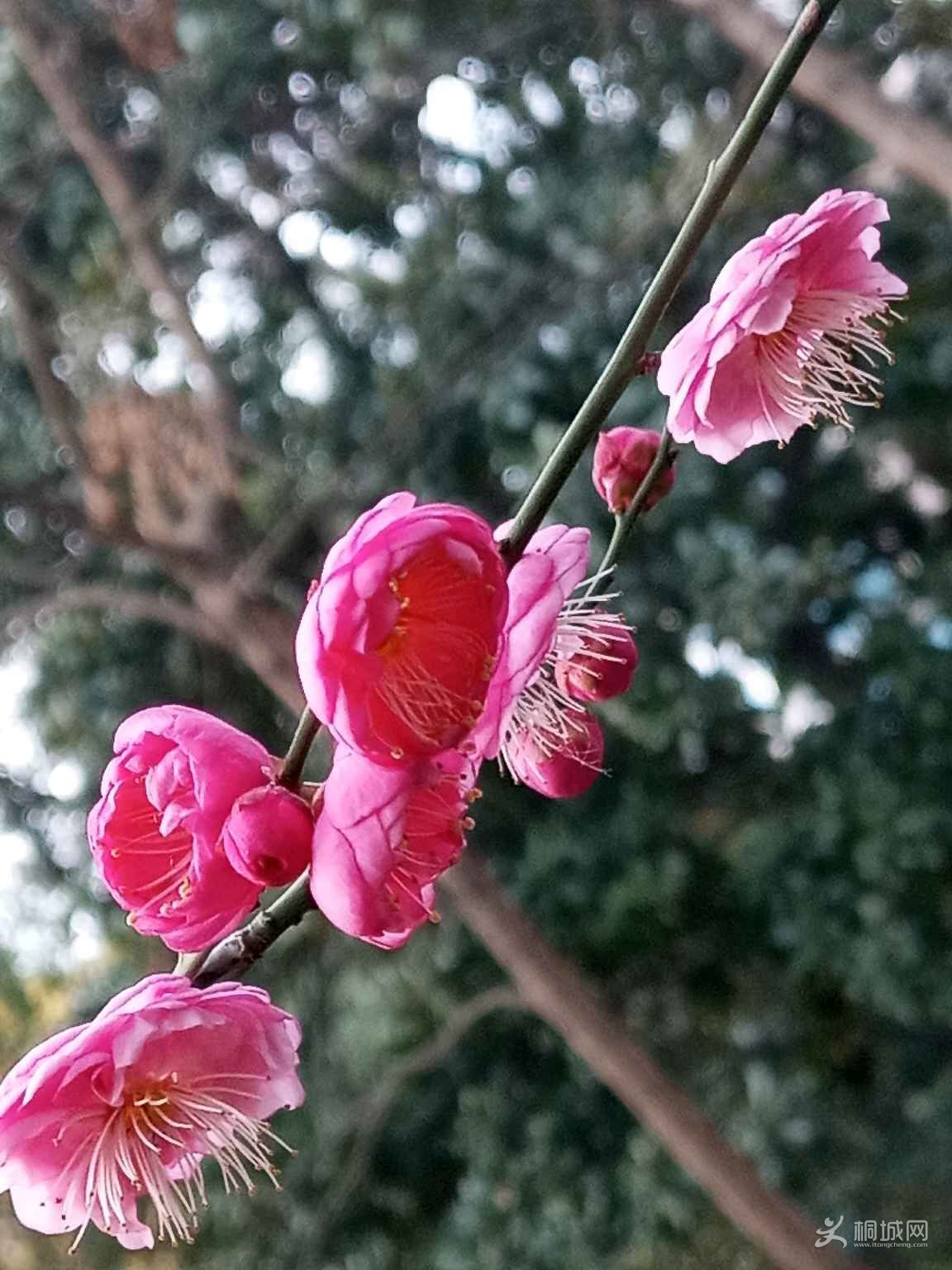 UfFB6066Z6Px.jpg