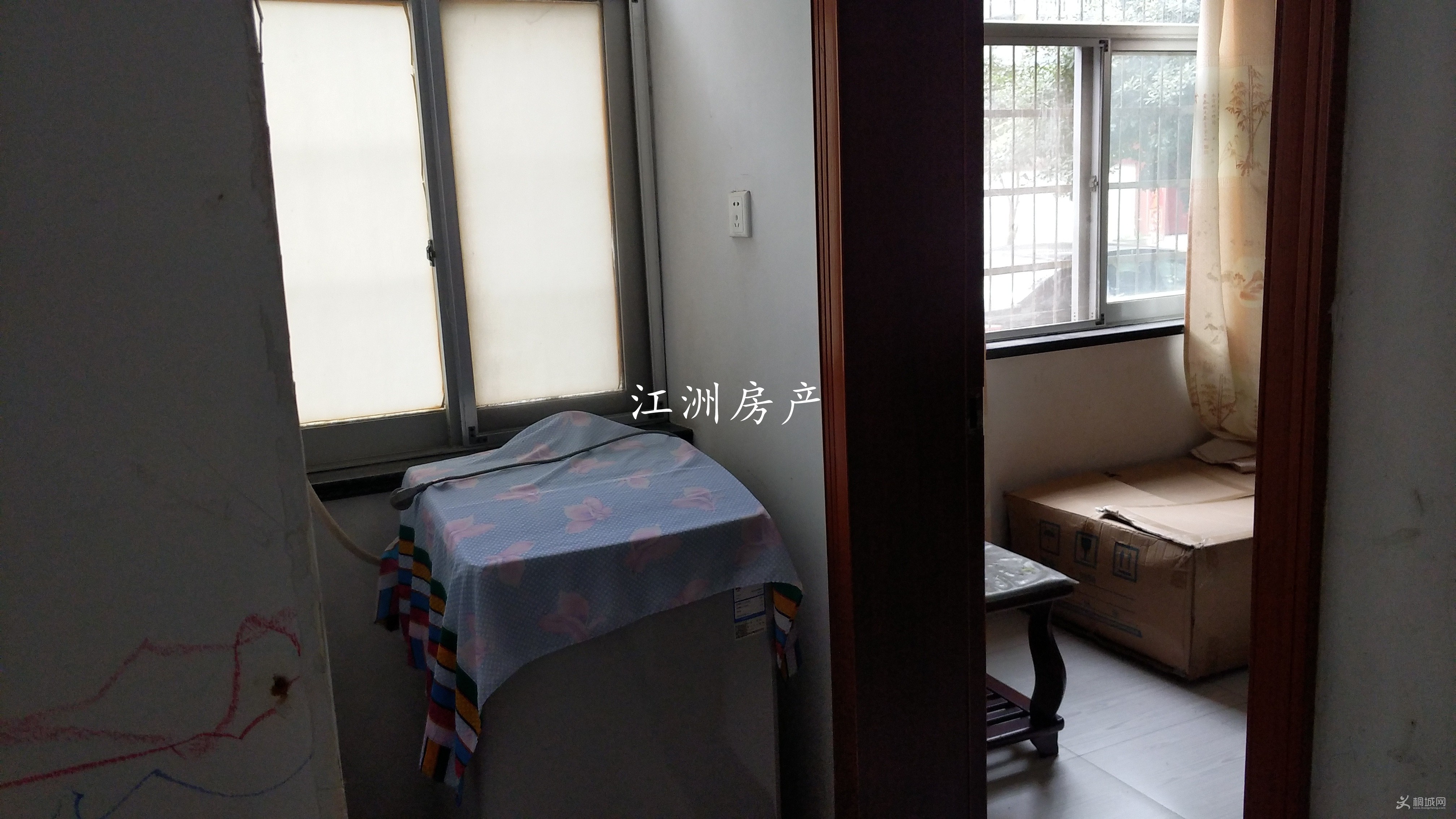 IMG_20190217_134046.jpg