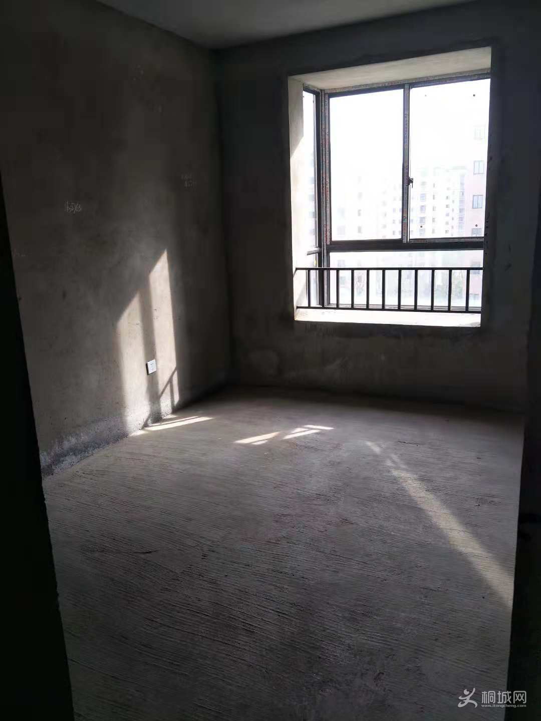 776255600926704450.jpg