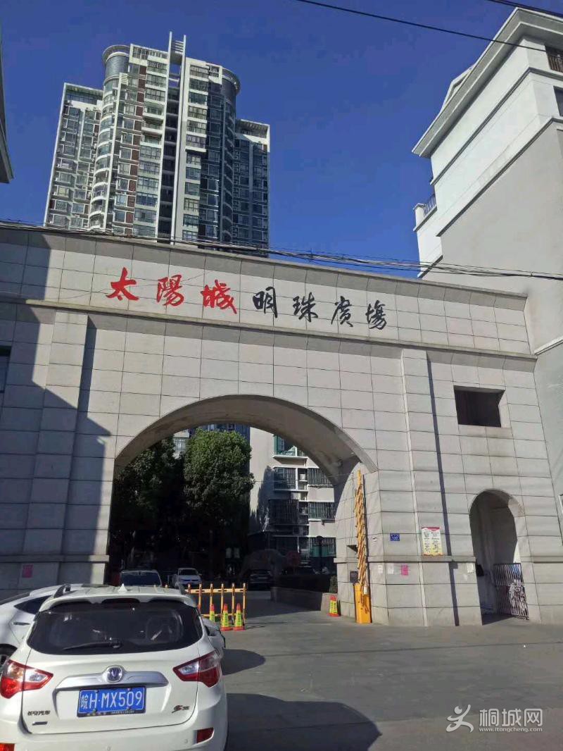 mmexport1550796726820.jpeg