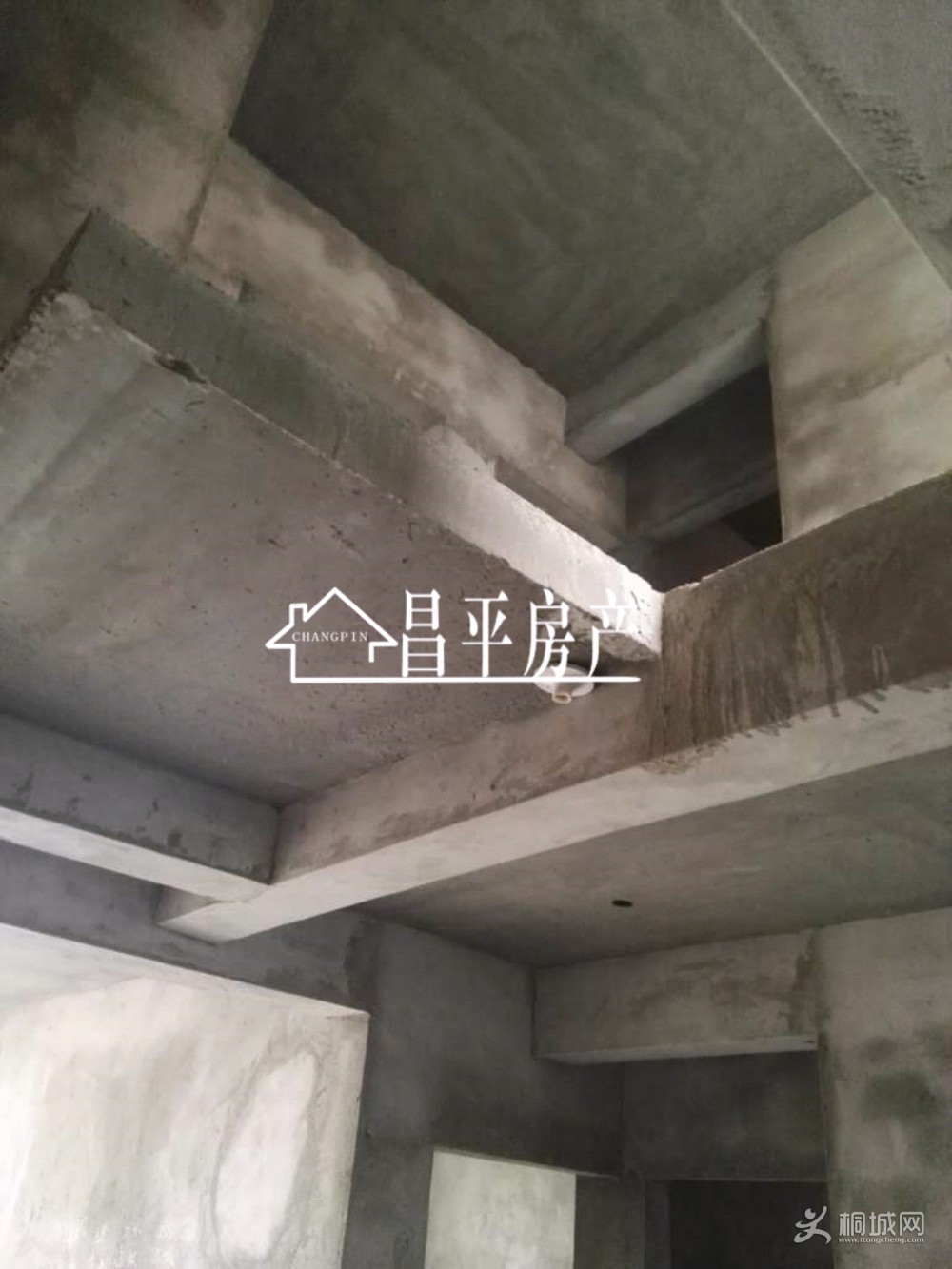 ZyjCS1x47FyEa7L_AAAAALF-Sqk752.jpg