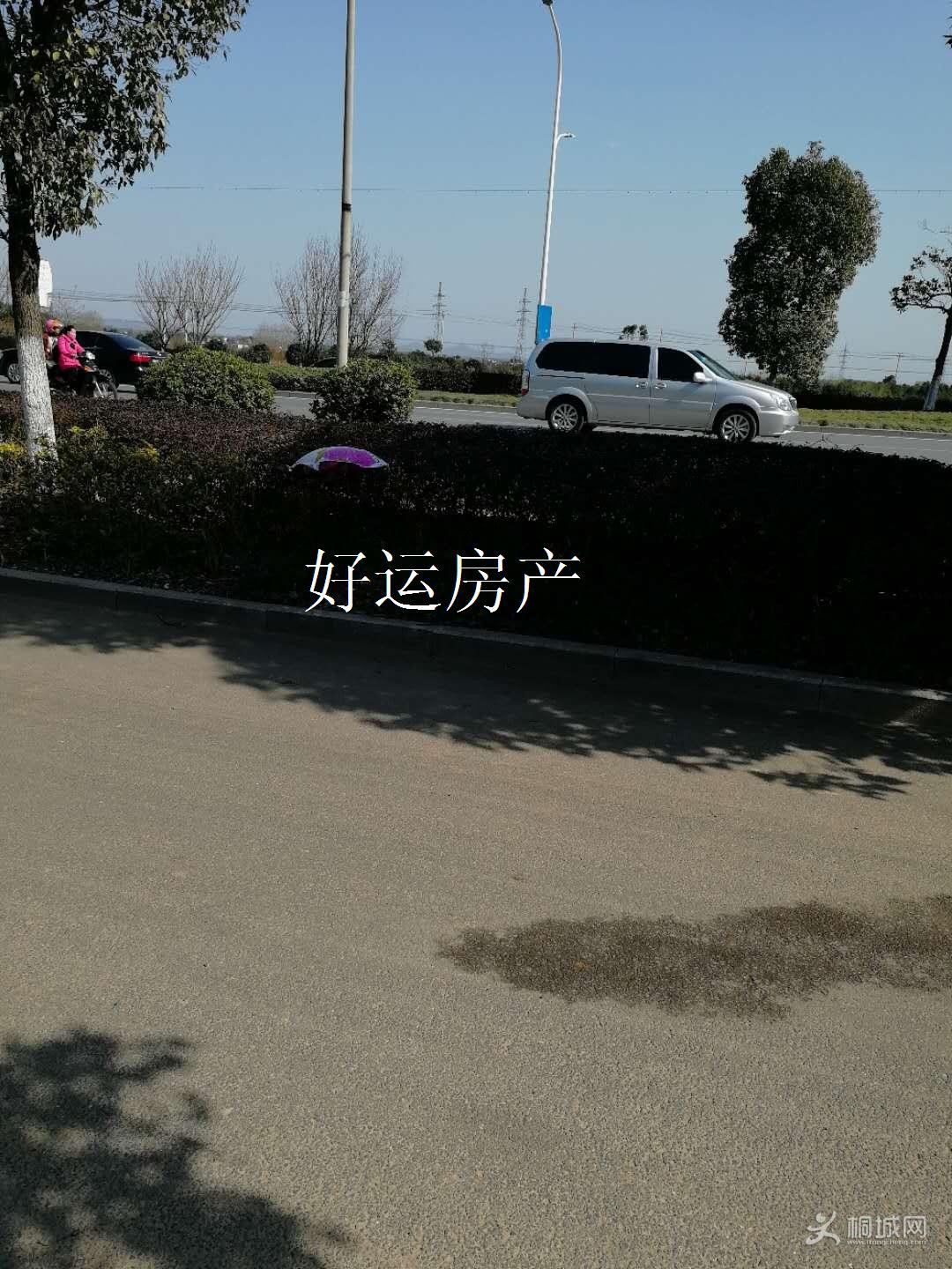 ΢ͼƬ༭_20190312154006.jpg