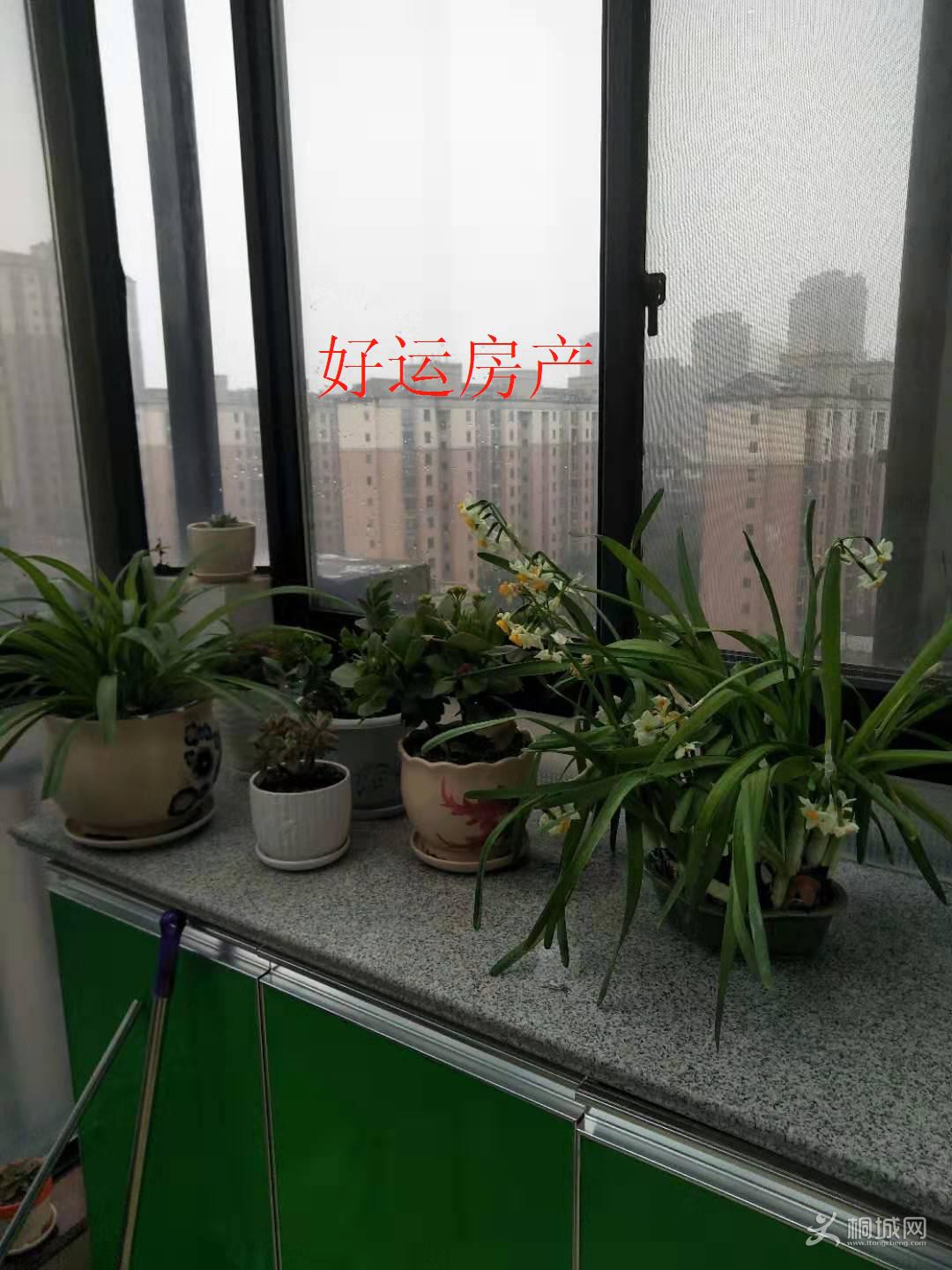 ΢ͼƬ༭_20190303100041.jpg
