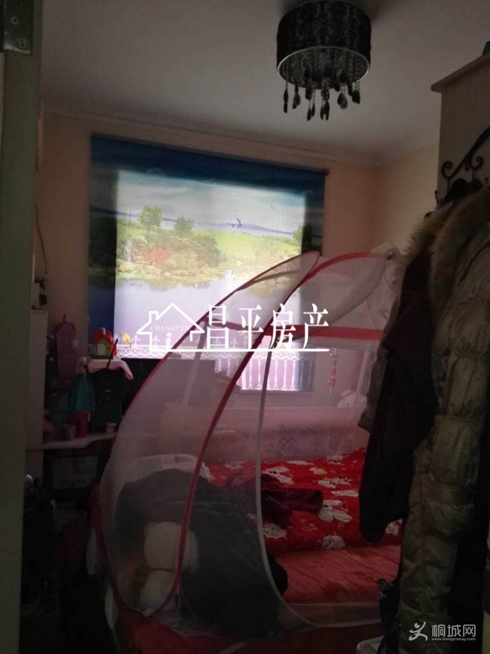 ZyjCS1yRkzaEF75QAAAAADlqzak164.jpg
