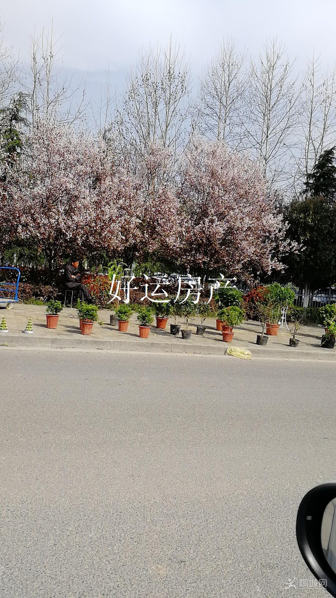 ΢ͼƬ༭_20190326103306.jpg