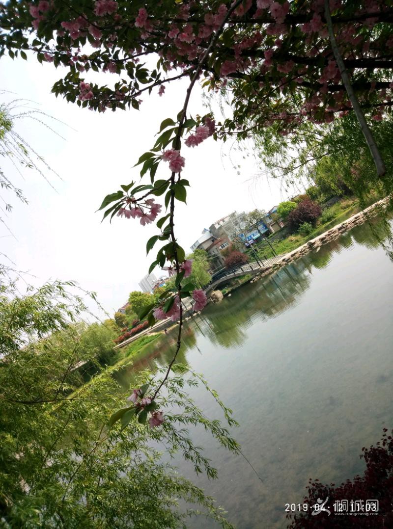 P90412-110316.jpeg