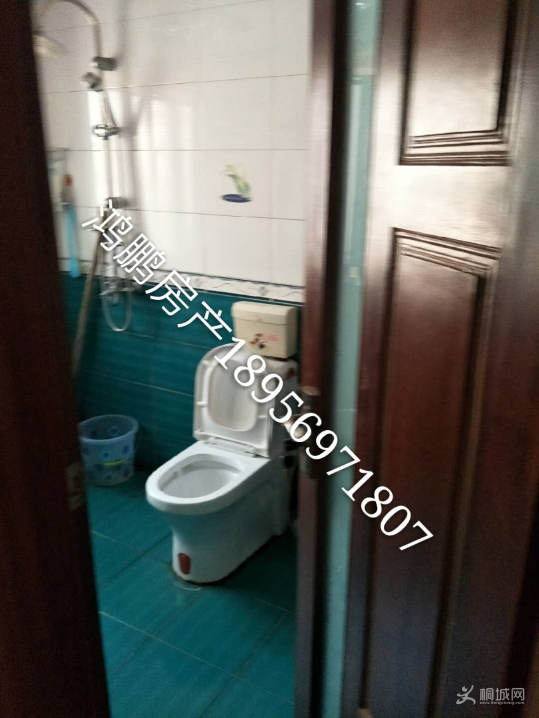 ԰8-519ͼƬ02.jpg