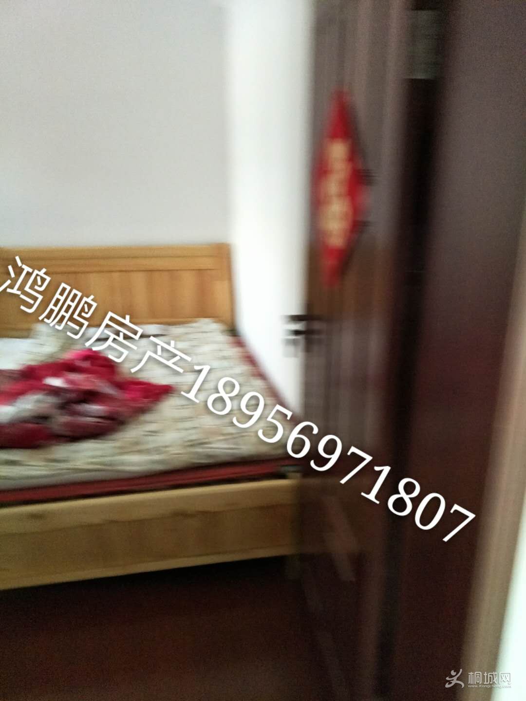 ԰8-519ͼƬ03.jpg