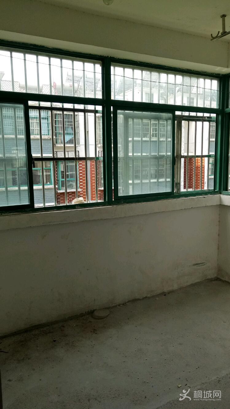 IMG20190504104439.jpeg