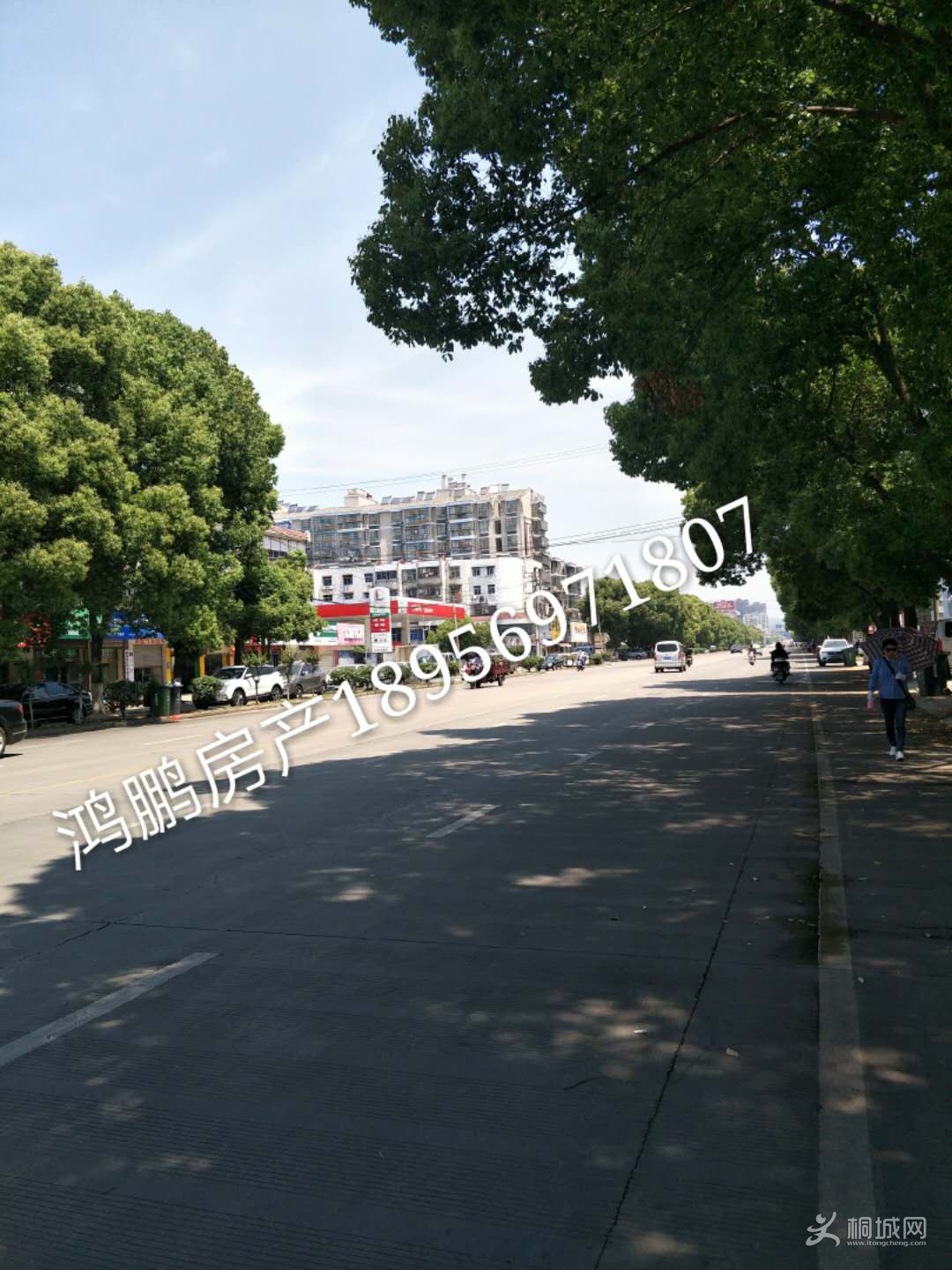 ·淿⾰ͼƬ05.jpg