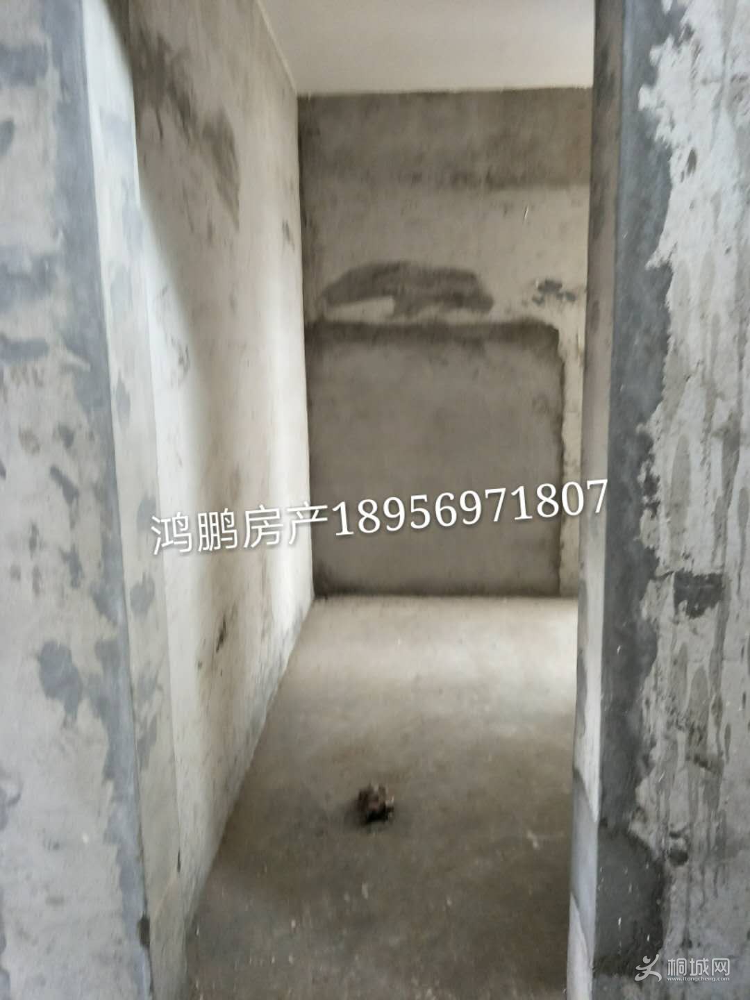 ԰12-609ͼƬ05.jpg