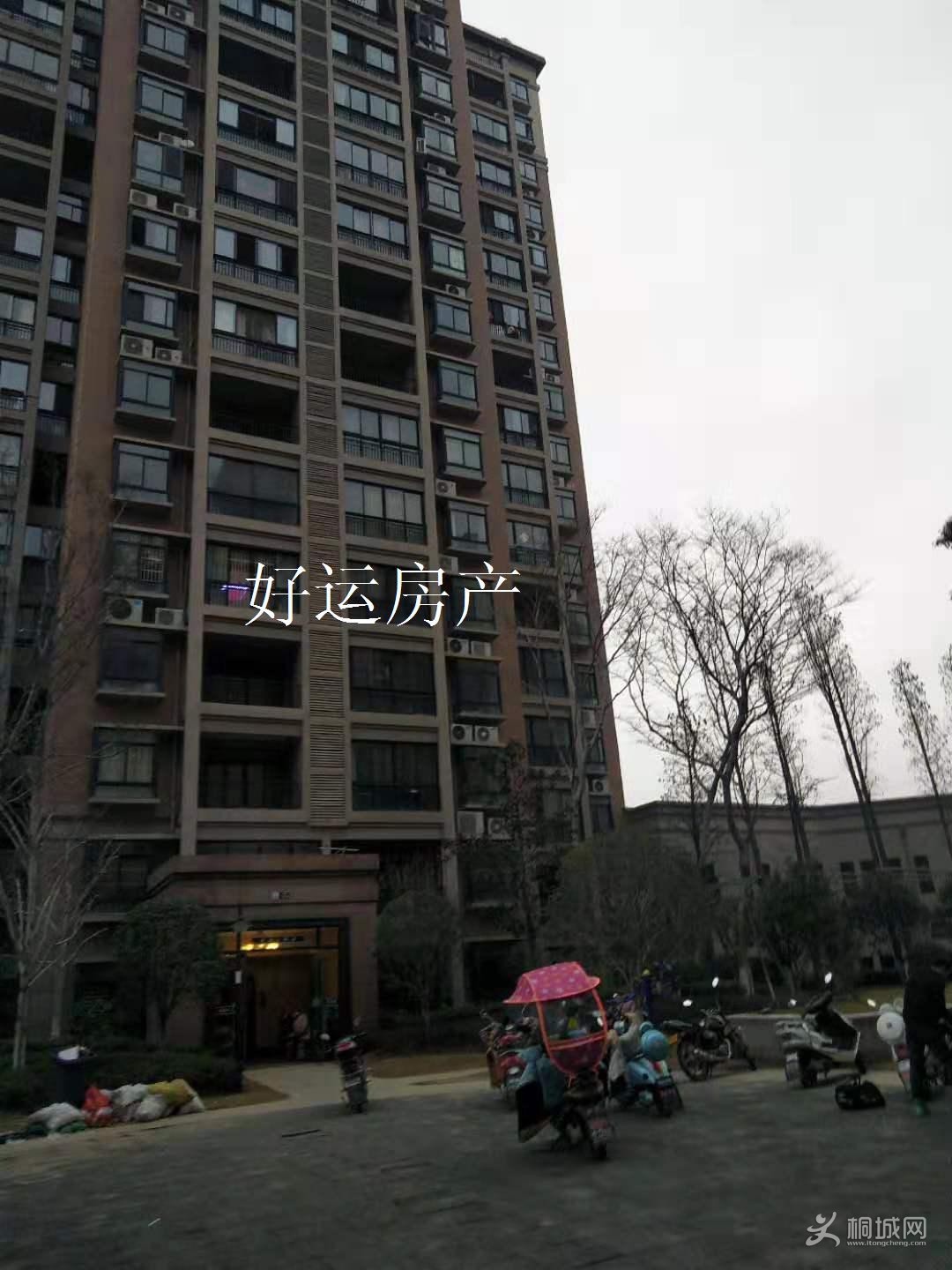 ΢ͼƬ༭_20190314102026.jpg