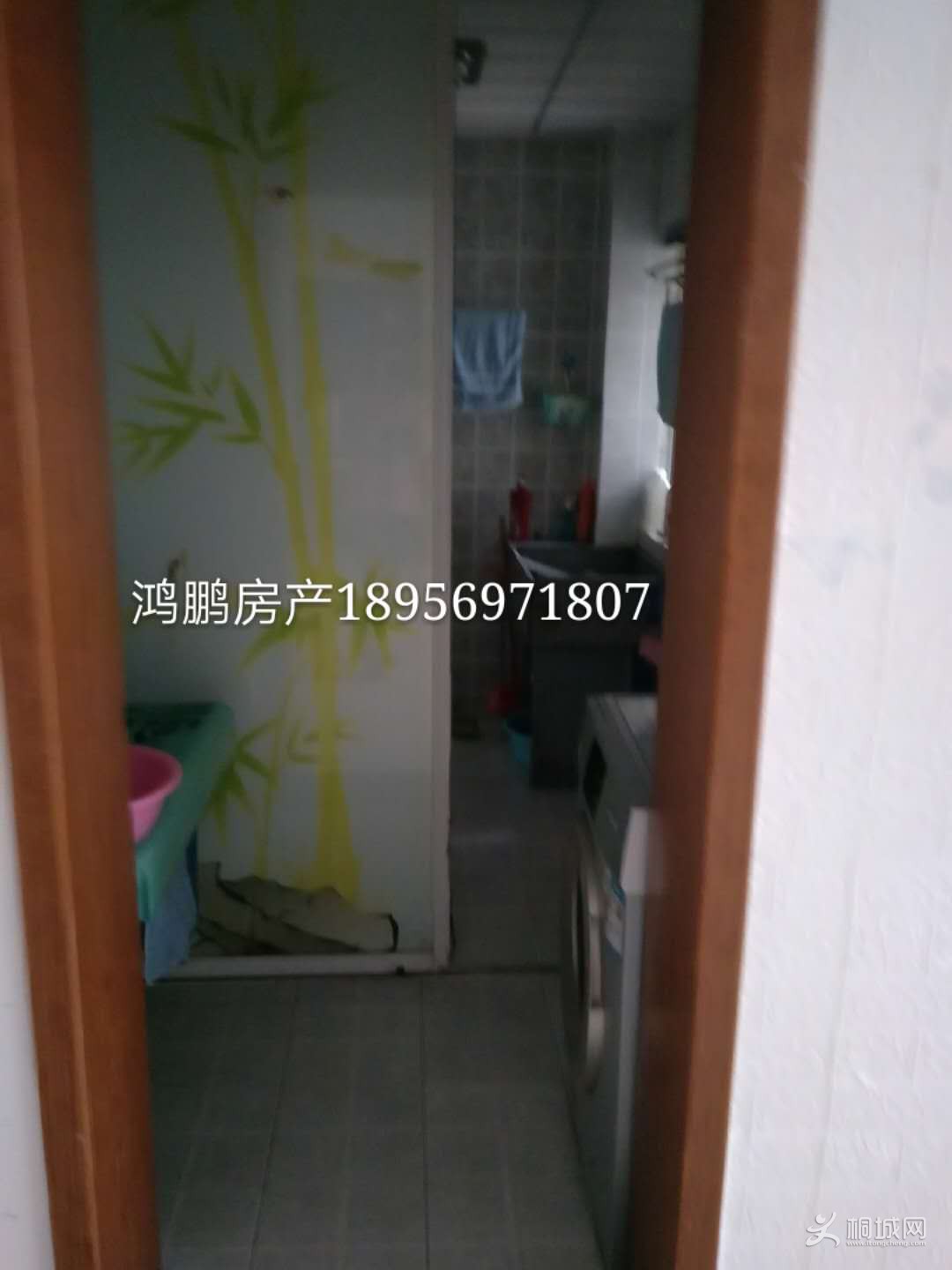 СƷ5502ͼƬ03.jpg