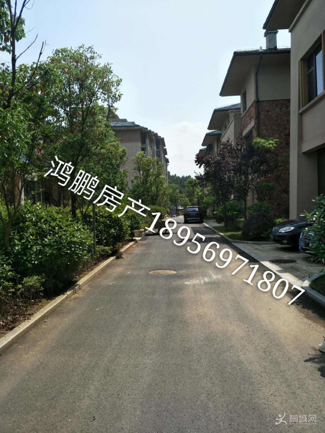 ɽׯ120102.jpg