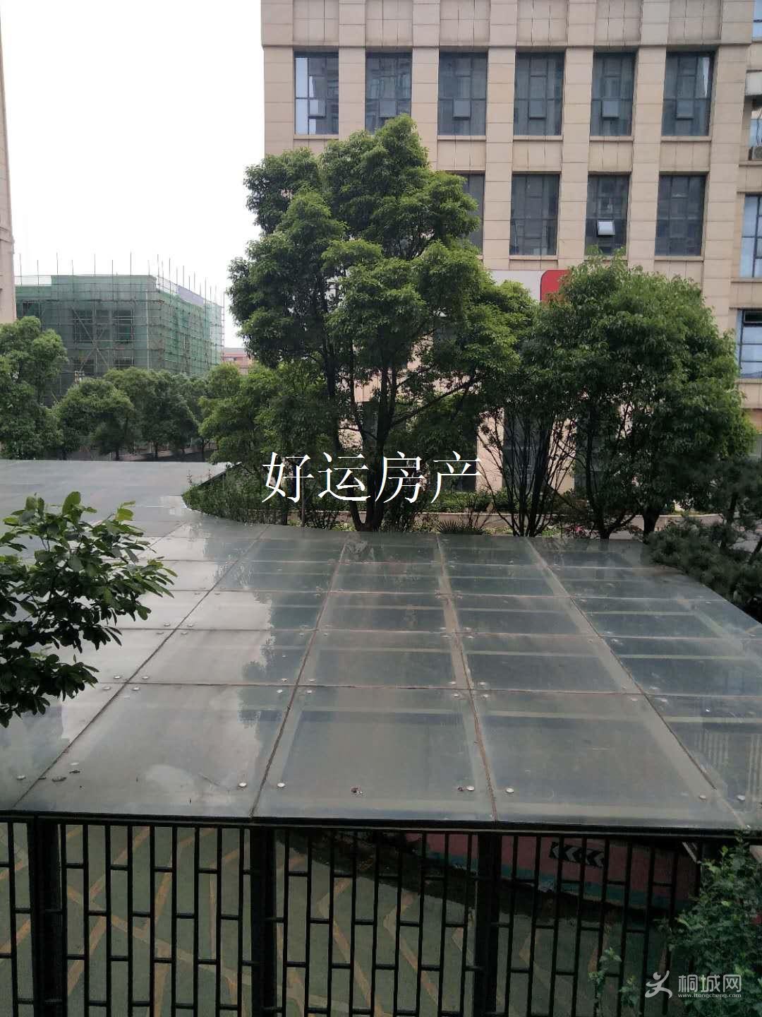 ΢ͼƬ༭_20190517163518.jpg