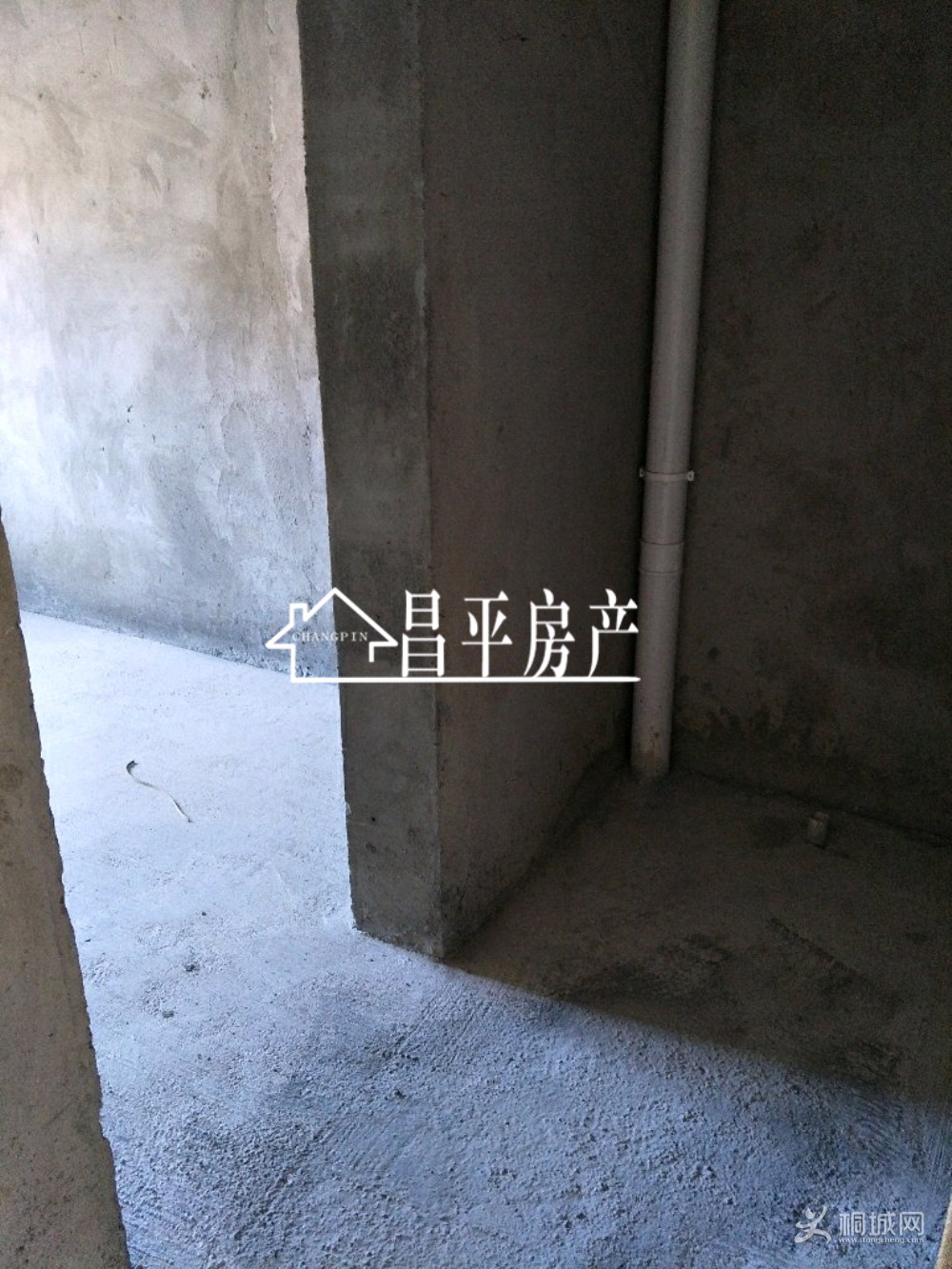 ZyjCGlzmVByARXVgAAKmmDQThQI913.jpg