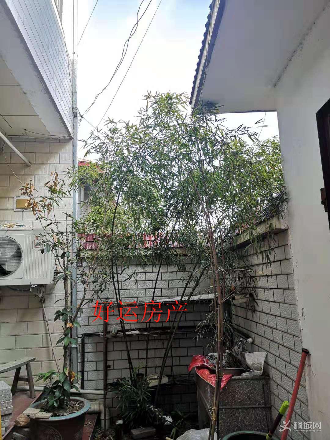΢ͼƬ༭_20190303140836.jpg