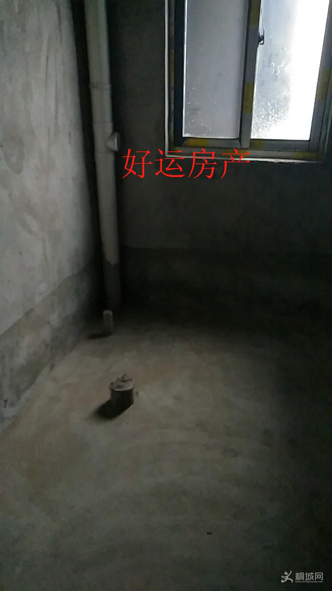 ΢ͼƬ༭_20190302100218.jpg