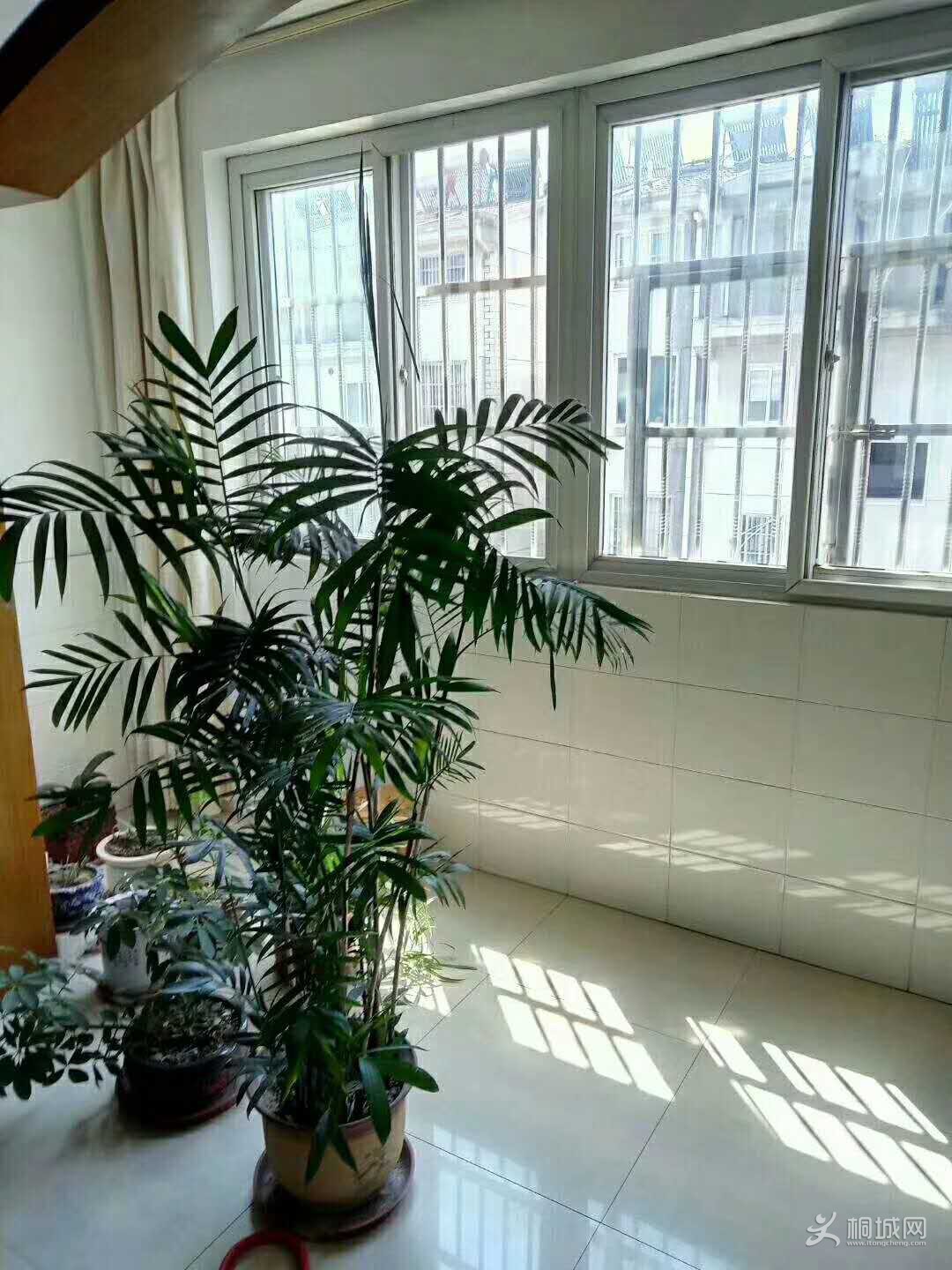 ΢ͼƬ_20190619150013.jpg