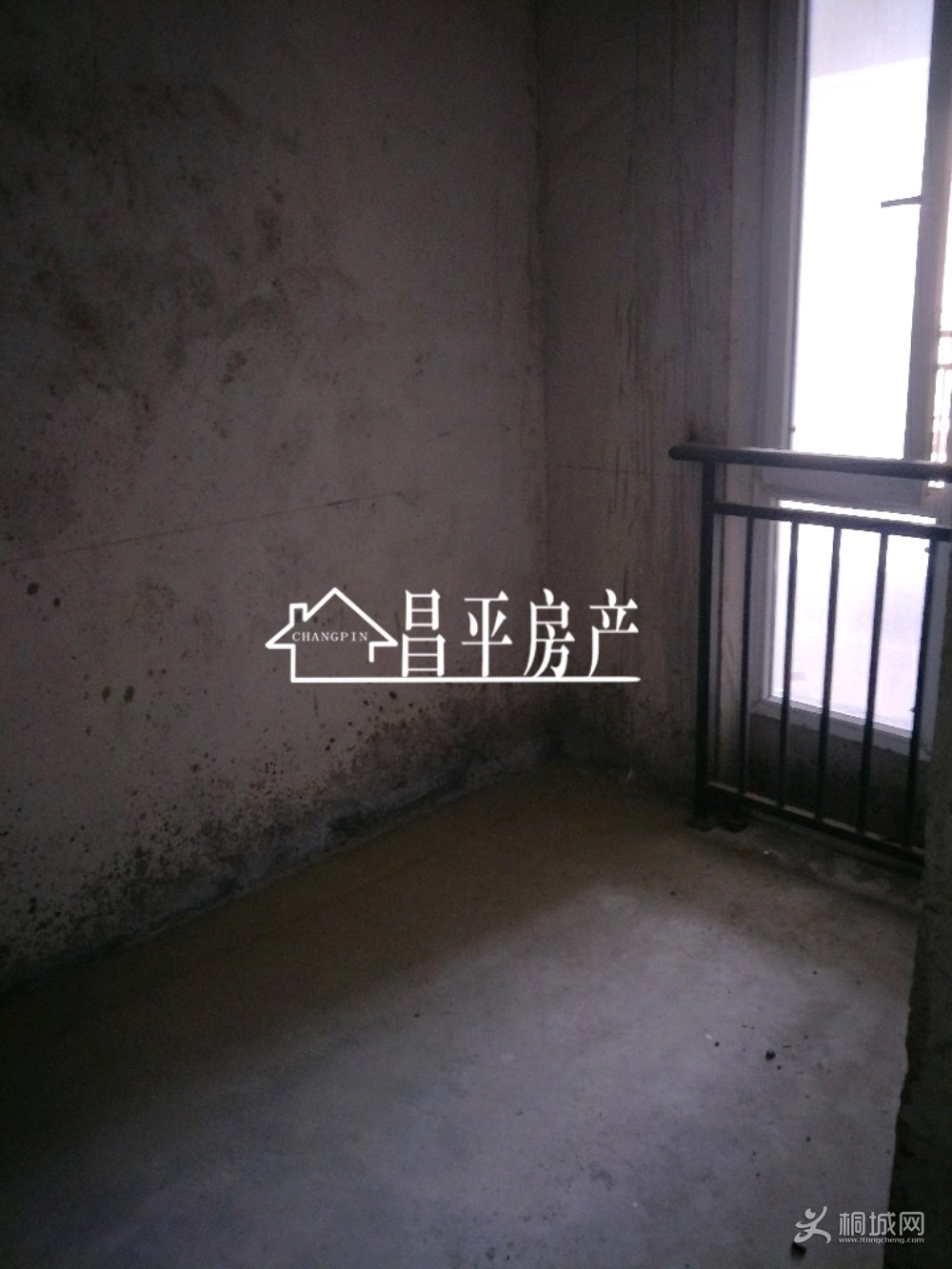 ZyjCHV0R0eCATnAhAAFfQuuguxU771.jpg