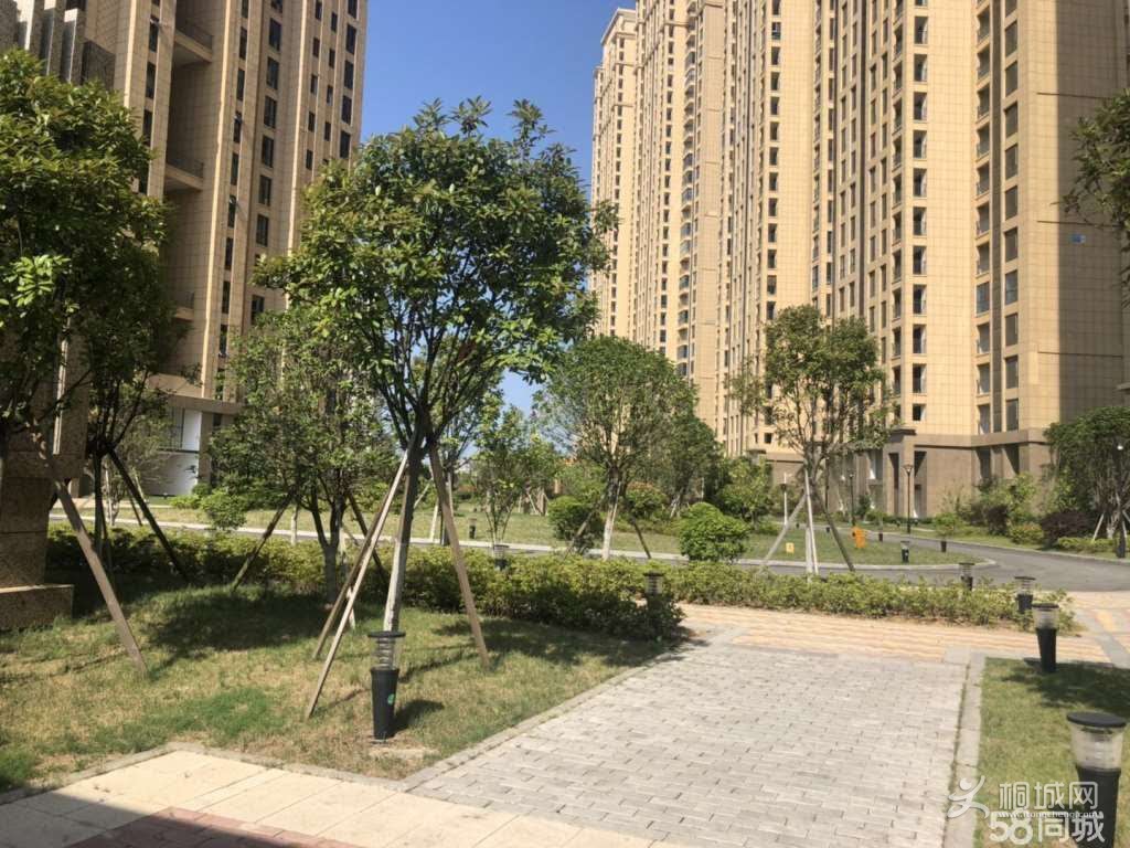 ΢ͼƬ_20190627100421.jpg