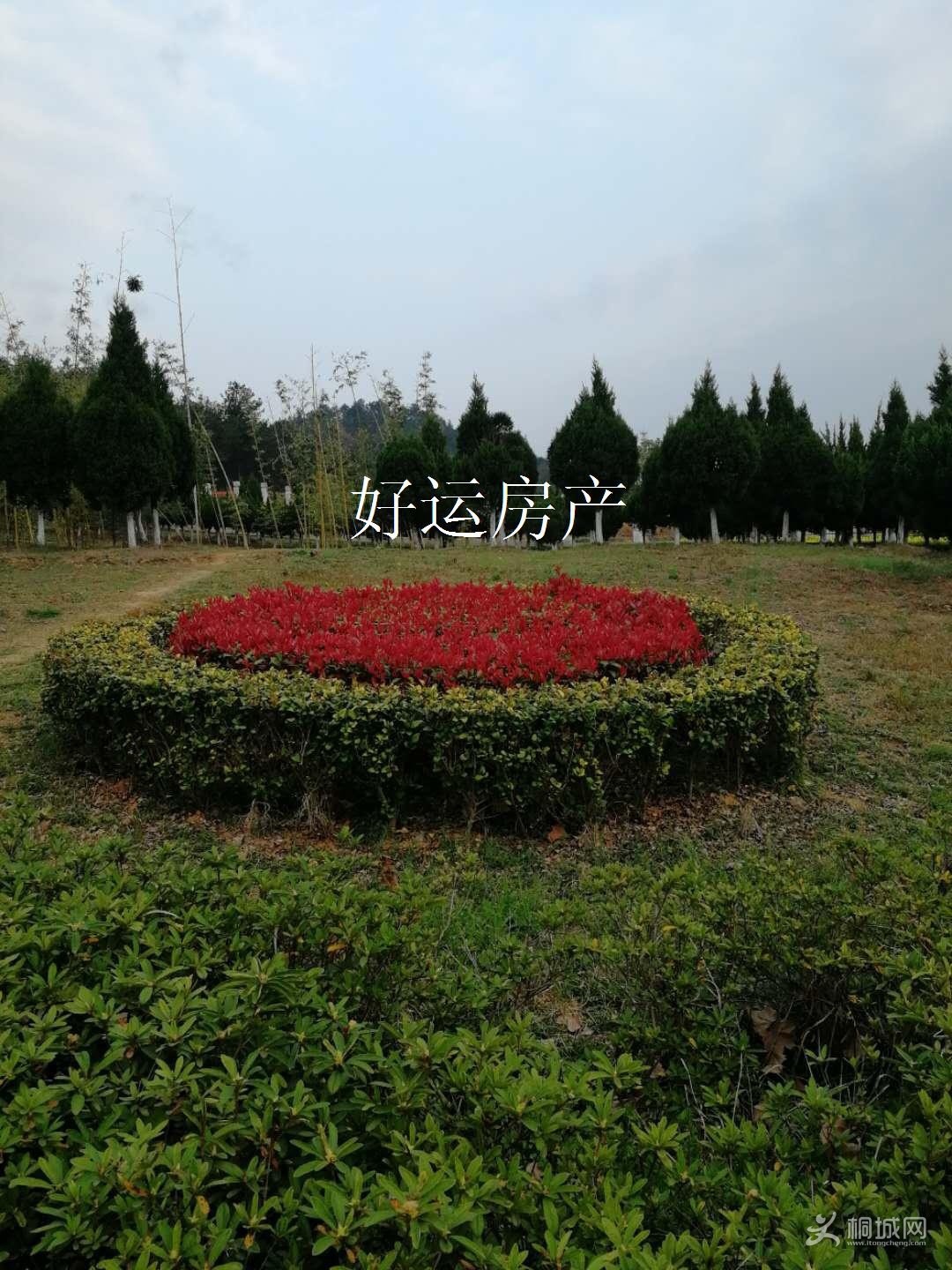 ΢ͼƬ༭_20190701153648.jpg