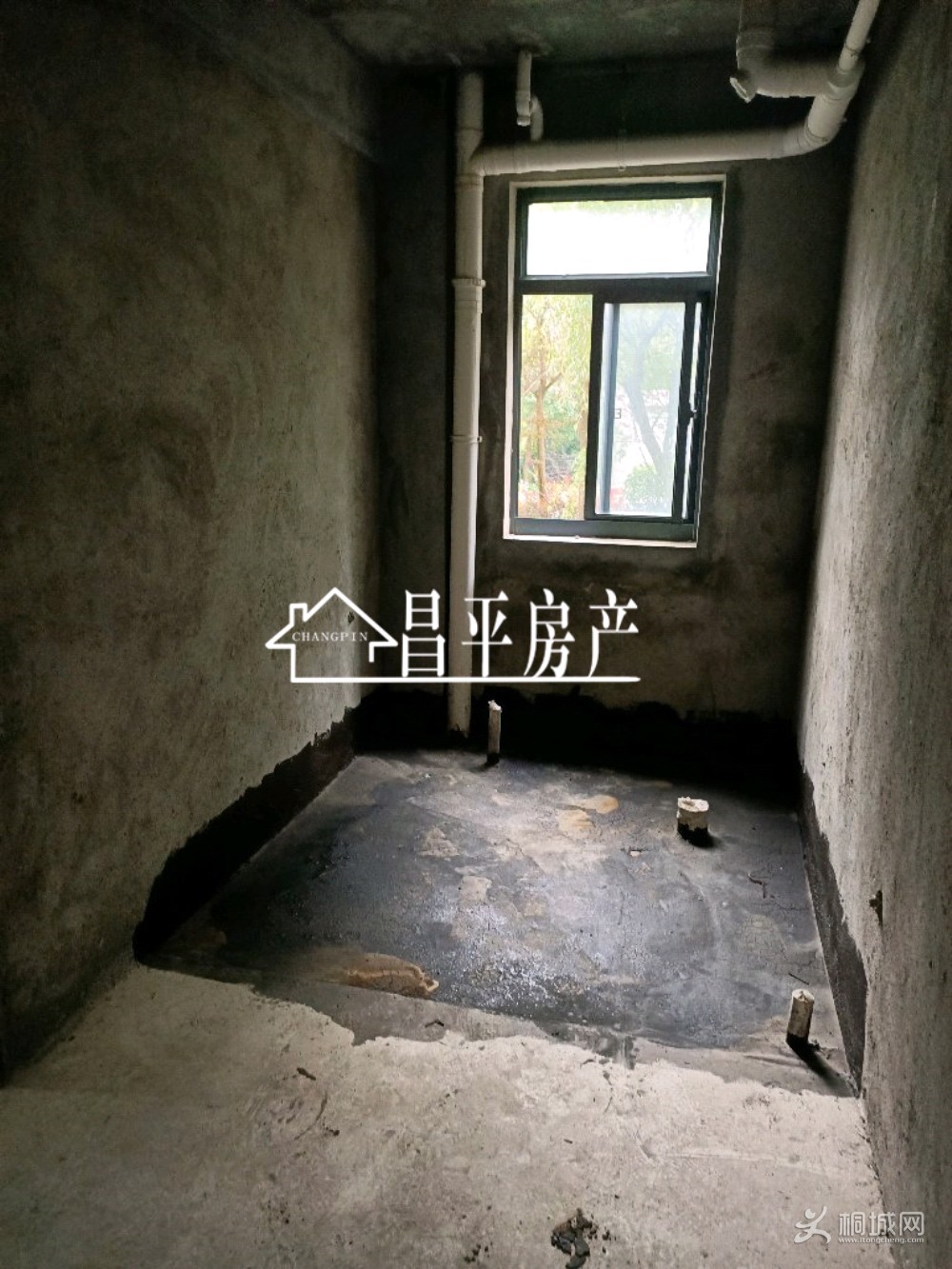 ZyjCH10WH1aAO8JnAAJVDTDWFcQ476.jpg